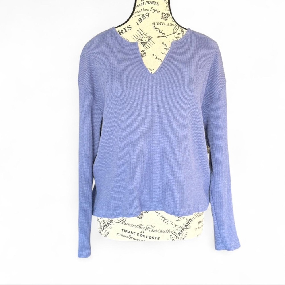 Babaton Blue V-Neck Sweater